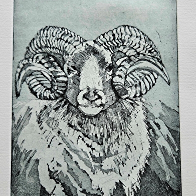 Exposition 'Les gravures' par La Tarlatane