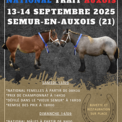 National du Cheval de Trait Auxois