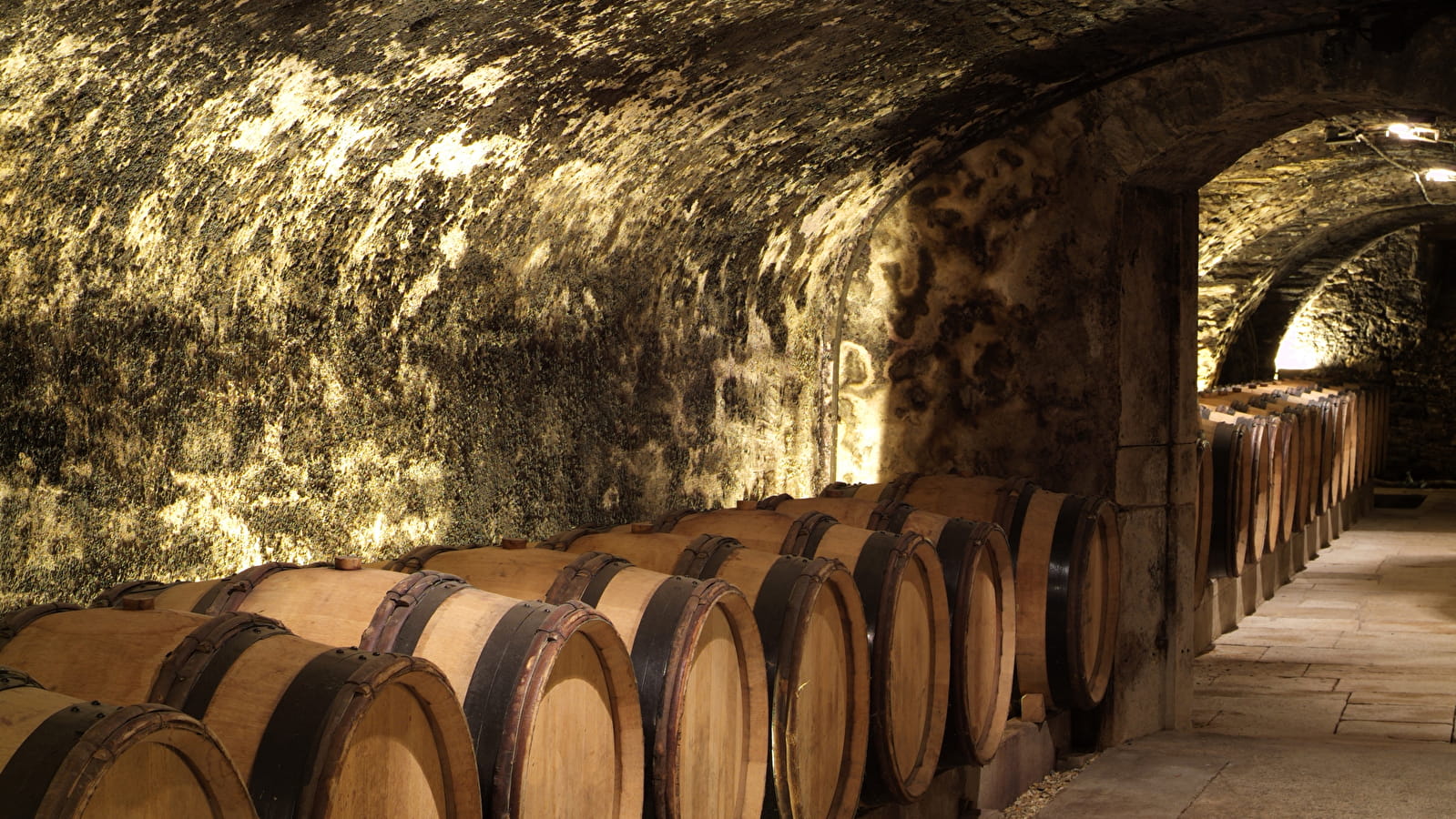 Hôtel-Dieu - Hospices de Beaune - Ateliers des sens, Arômes des caves de l'Hôtel-Dieu