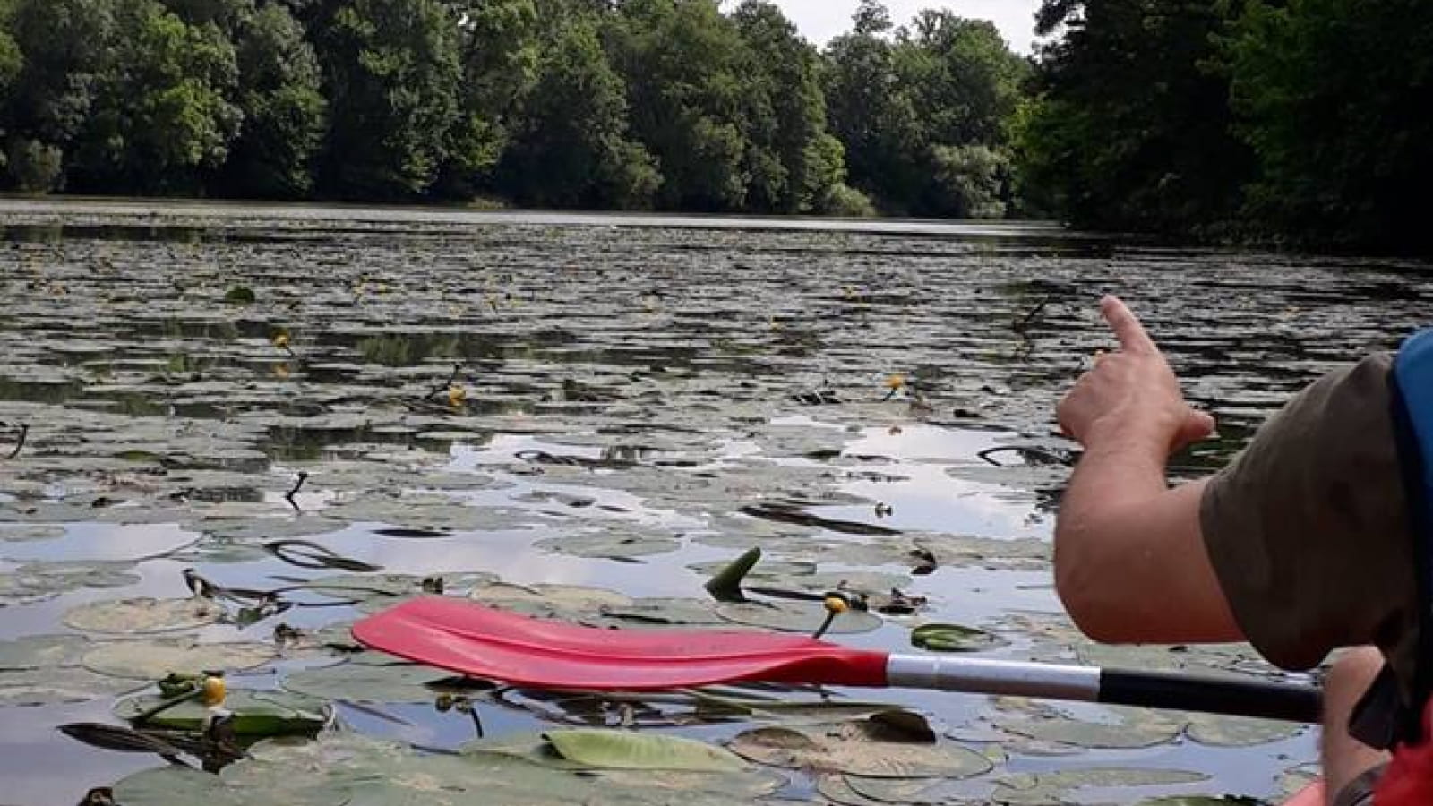 Sortie accompagnée en canoës sur la Saône
