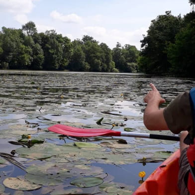 Sortie accompagnée en canoës sur la Saône 