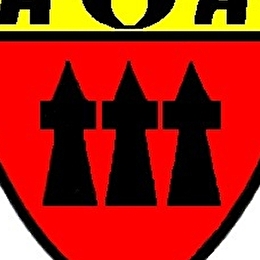AOA Handball - ARNAY-LE-DUC