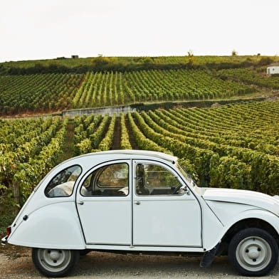 Château de Pommard - Expérience la Route des Grands Crus 