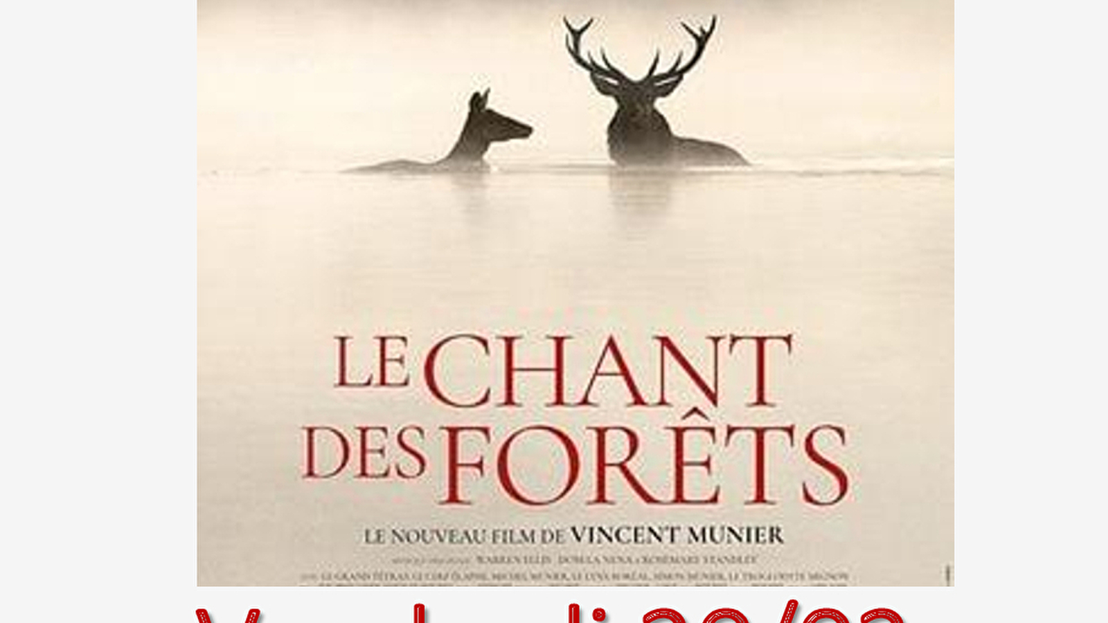 Séance de cinéma 'Le chant des forêts'