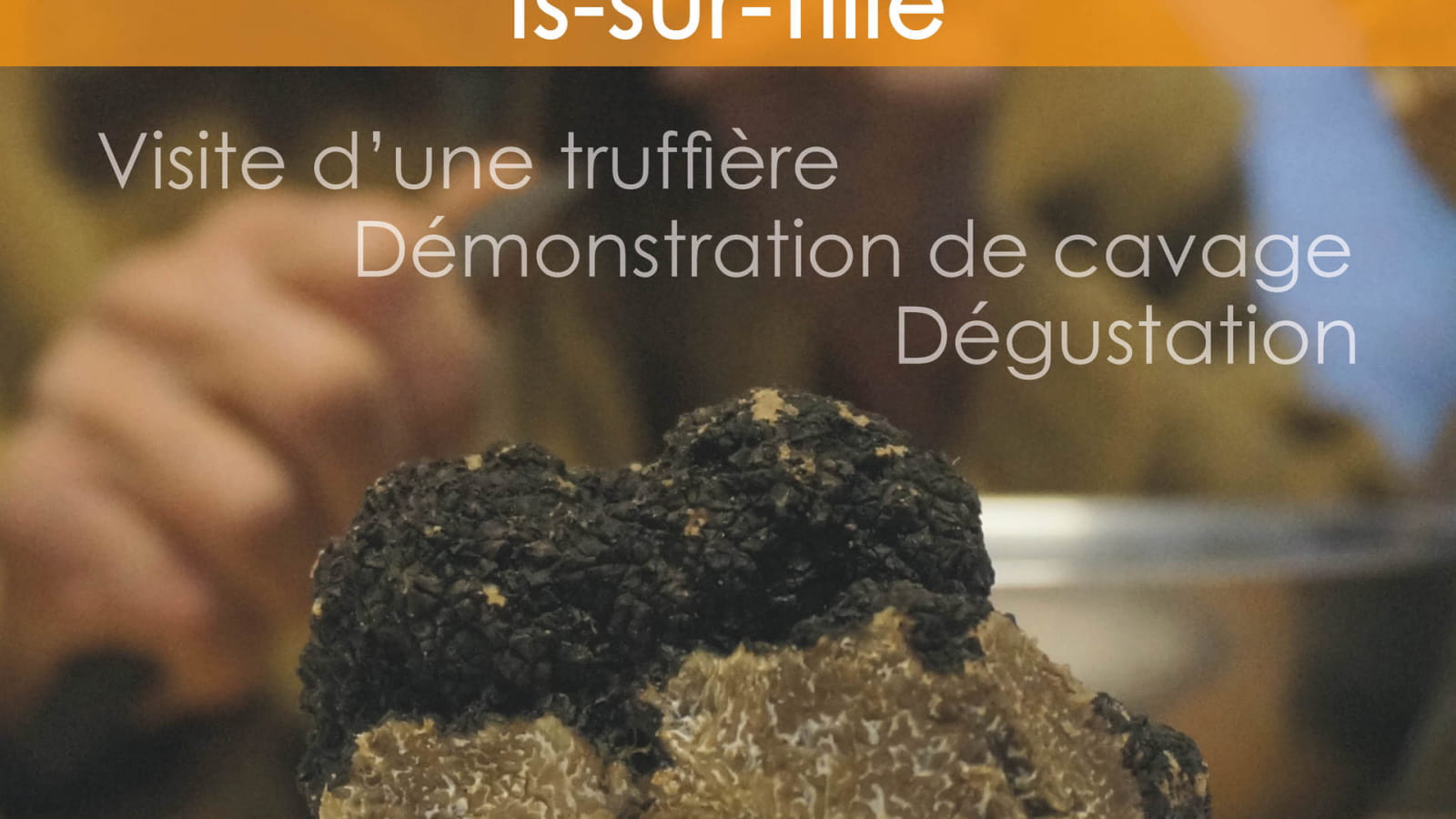 Demi-journée découverte de la truffe 2022