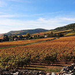 Girardin Justin - SANTENAY