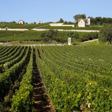 La Grande Vadrouille à Meursault