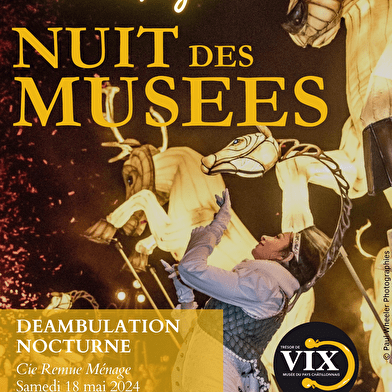 Nuit Européenne des Musées - Les 15 ans du Musée du Pays Châtillonnais - Trésor de Vix 