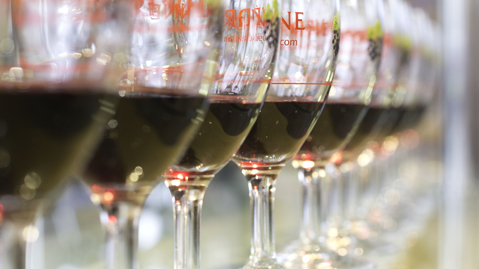 À la découverte de la Côte de Nuits - Groupe