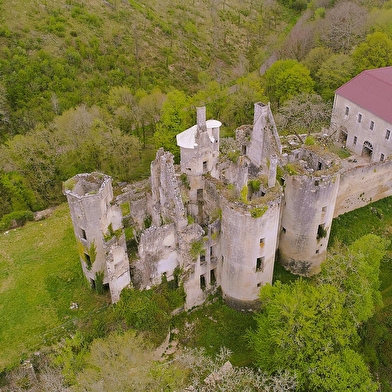 Journées du Patrimoine de Pays et des Moulins au château de Rochefort