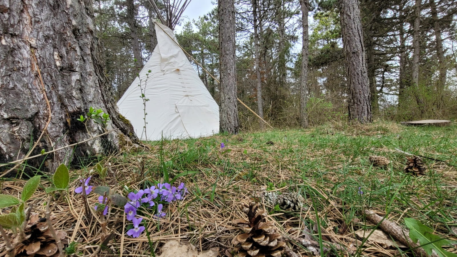 Nuitée insolite en Tipi Lakota