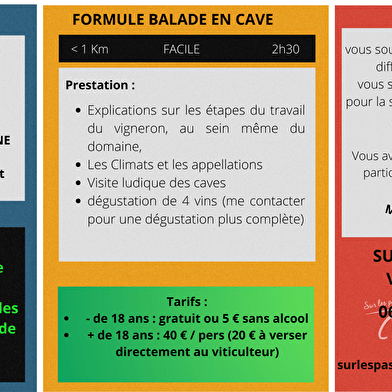 Sur les pas du vigneron