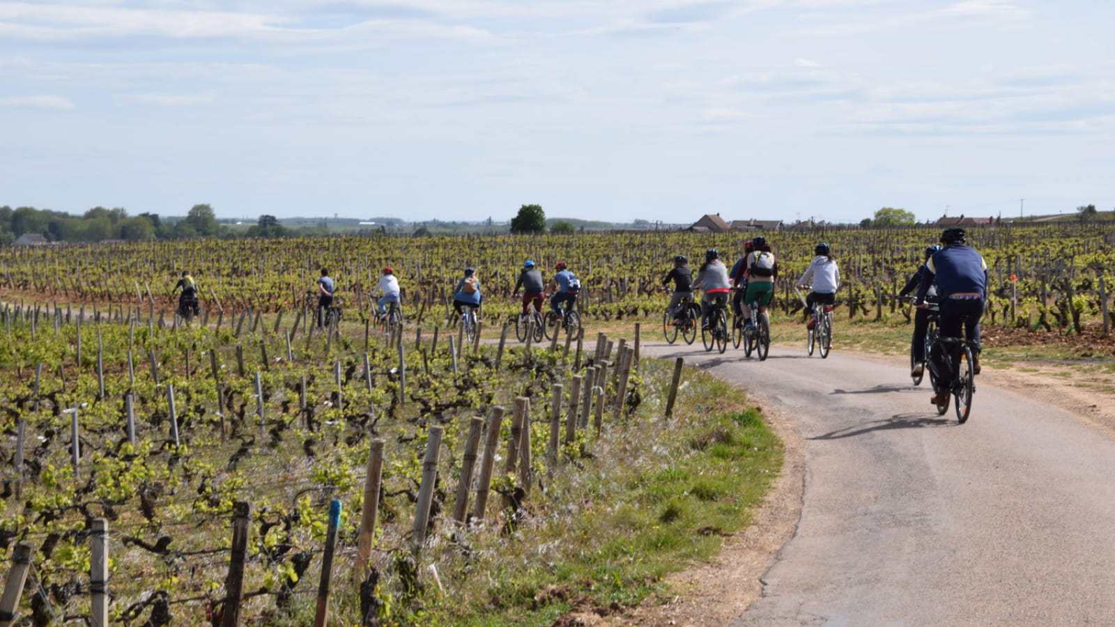 Velovitamine - Balade Oenologique à vélo 'Côte de Nuits 1er Cru' Dijon à Gevrey-Chambertin