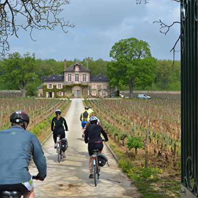 Bourgogne Evasion by Active Tours Nuits-Saint-Georges