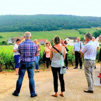 Atelier  Découverte des ' secrets des vins de  Bourgogne'