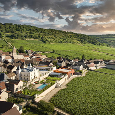 Château de Saint-Aubin - Maison Prosper Maufoux : Expérience Prestige