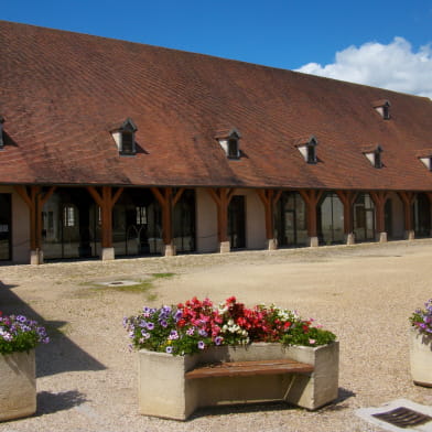 Visite 'À la découverte d'Auxonne' et Montée à la Tour de l'église Notre-Dame