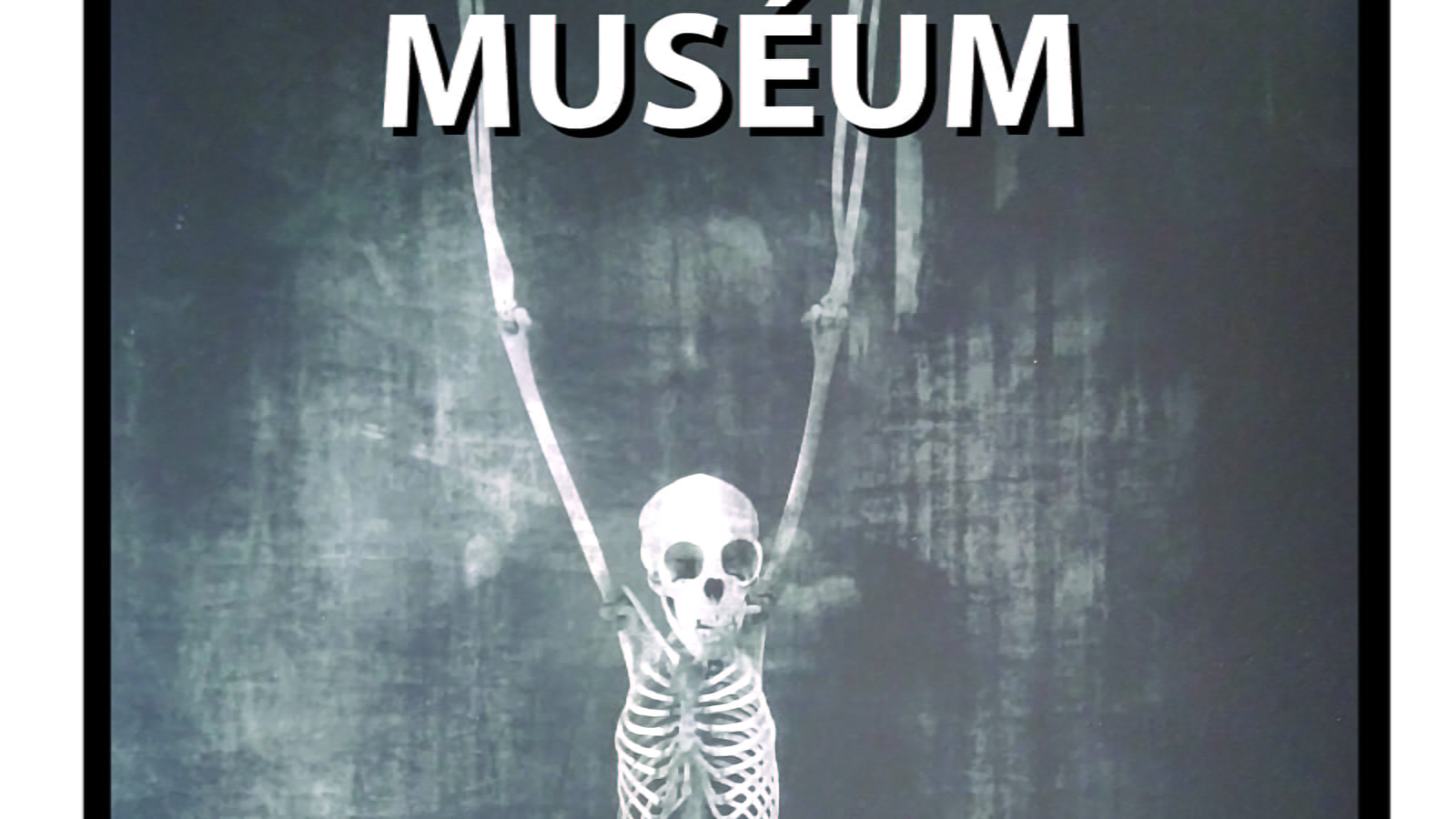 Exposition photos de Vincent Descotils 'muséem' Photographies noir et blanc galerie d'anatomie comparée musée d'histoire naturelle Paris.