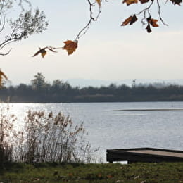 Les Etangs d'Or - Parc Eco Loisirs de Merceuil Tailly - MERCEUIL