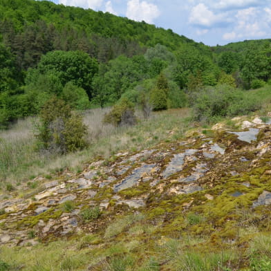 Les marais tufeux de pente _ENS2026 'sur réservation'