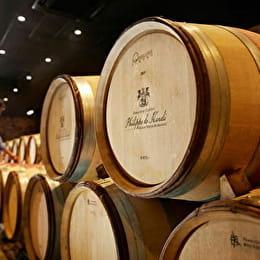 Château Philippe le Hardi - Visite dégustation 'Fons Boni & Sani' - SANTENAY