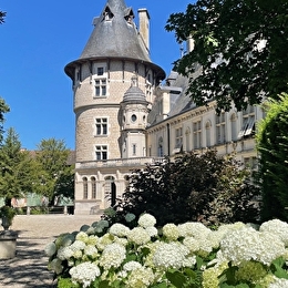 Chambres d'hôtes du Château de Montigny-sur-Aube - MONTIGNY-SUR-AUBE
