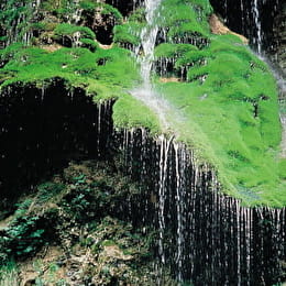 Cascade du Cirque du Bout du Monde - CORMOT-VAUCHIGNON