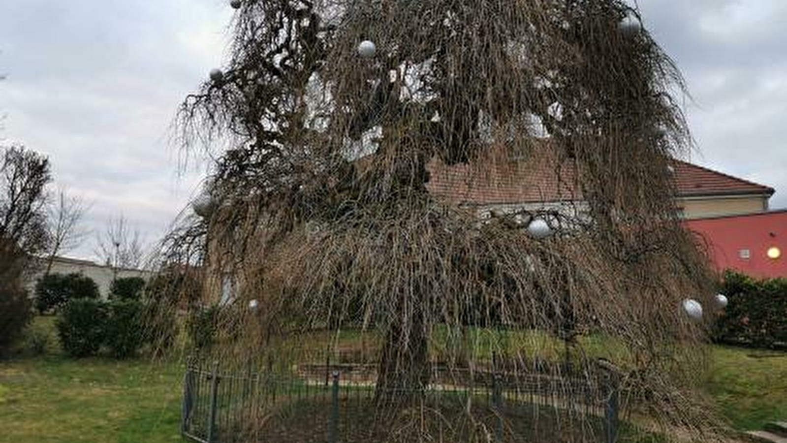 Des arbres en mai à vélo