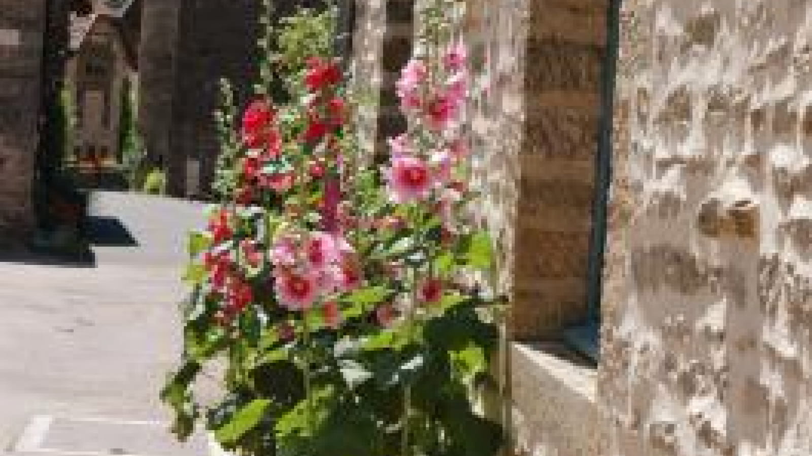 Village de Châteauneuf