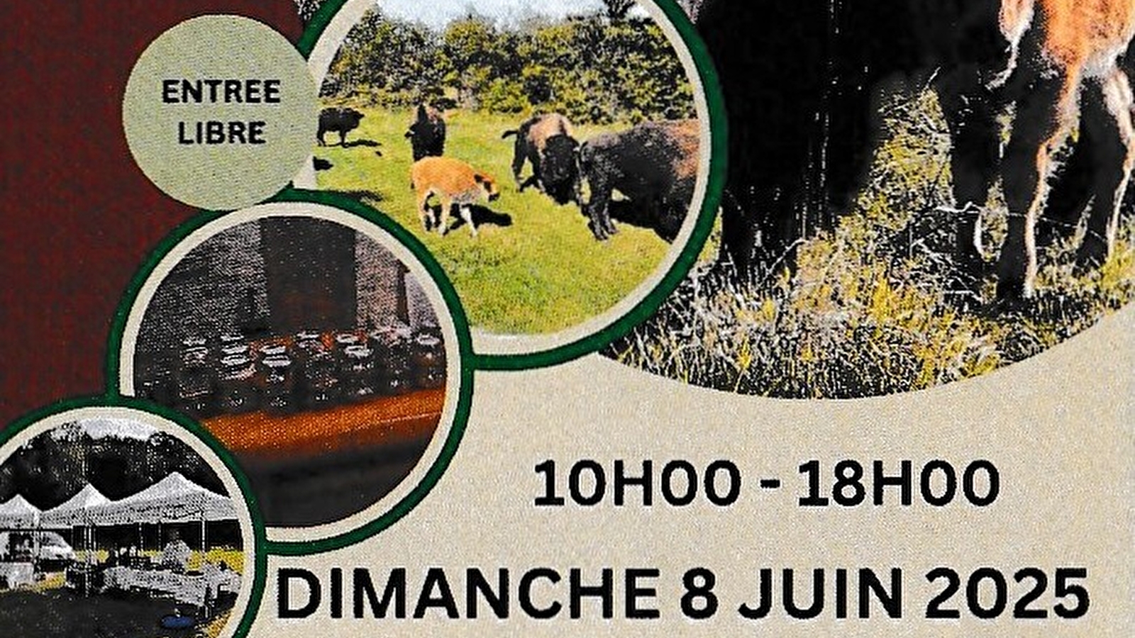 Portes ouvertes et Marché de producteurs - Martrois