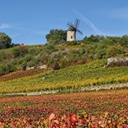 Aire de pique-nique du Moulin Sorine - SANTENAY