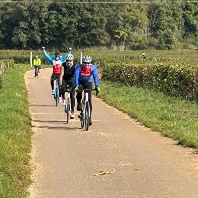 48 ème Rallye des Vendanges  : rando vélo route, vtt, gravel