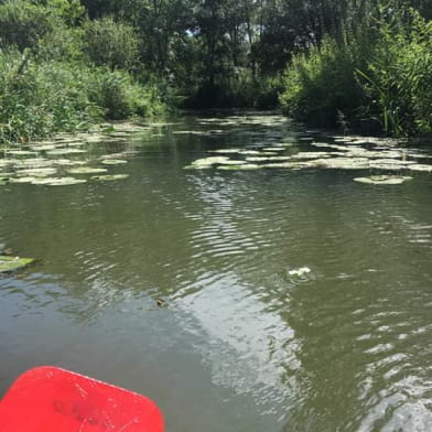 Location de canoës à Auxonne