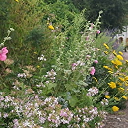 FONCEGRIVE - FONCEGRIVE