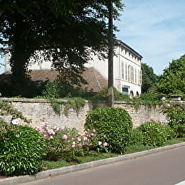 SAVIGNY-LES-BEAUNE - SAVIGNY-LES-BEAUNE