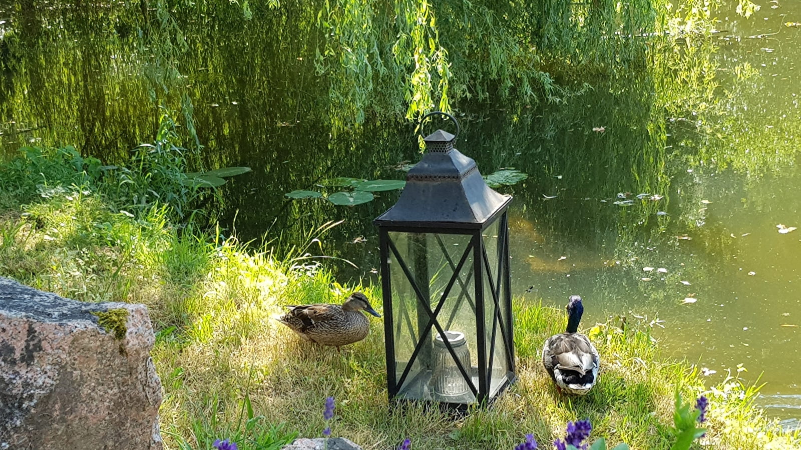 Le Cottage du Moulin de L'O