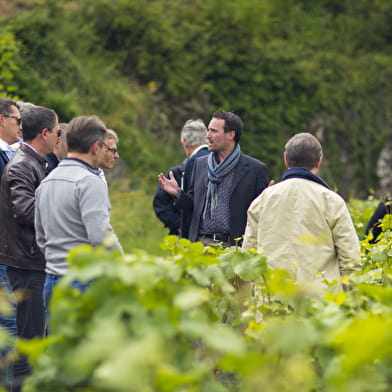 Journée dégustation des vins de Bourgogne 