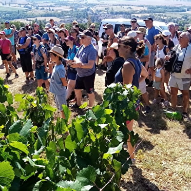 Rallye De Cep en Verre