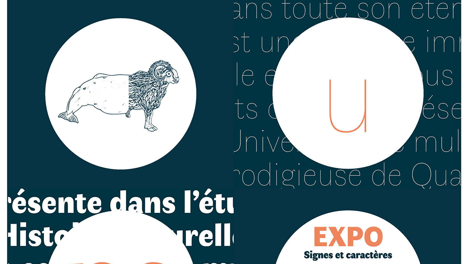 Exposition « Faune – Signes et caractères »