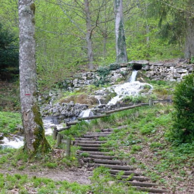 Forêt du Val Suzon