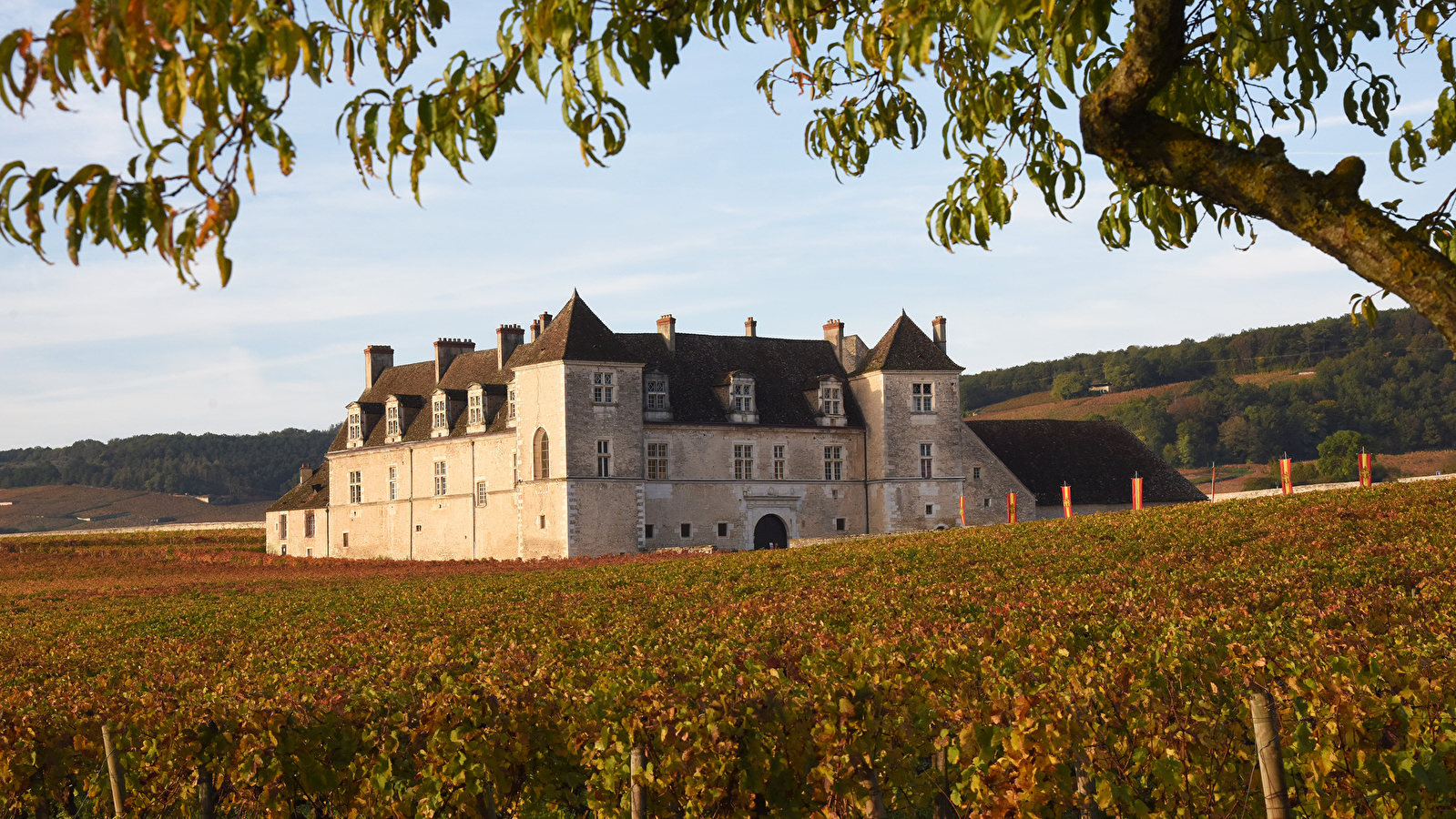 Instants millésimés