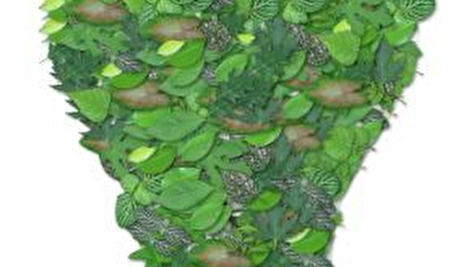 Dîner débat : Low tech : et si nous prenions un retard d'avance ?