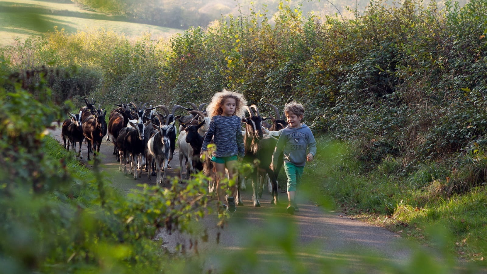 La ferme des Porons de granit