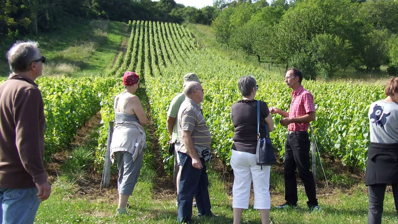 Visite-découverte 'De la vigne au vin'