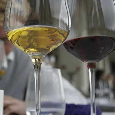 Dégustation de vins terroirs bourguignons - DSVin