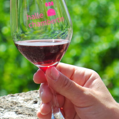 Entre Terre et Cave : l’Art de Vivre en Bourgogne