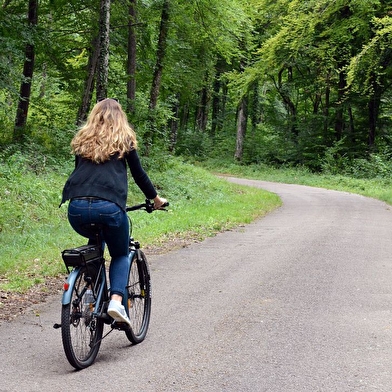 Fête du vélo à Longchamp