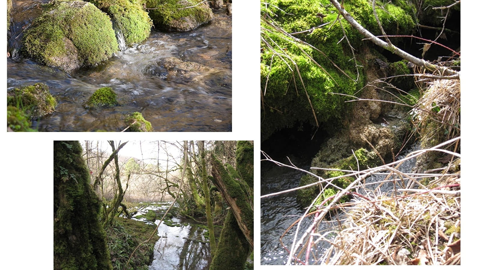 Sentier des Sources de l'Ignon