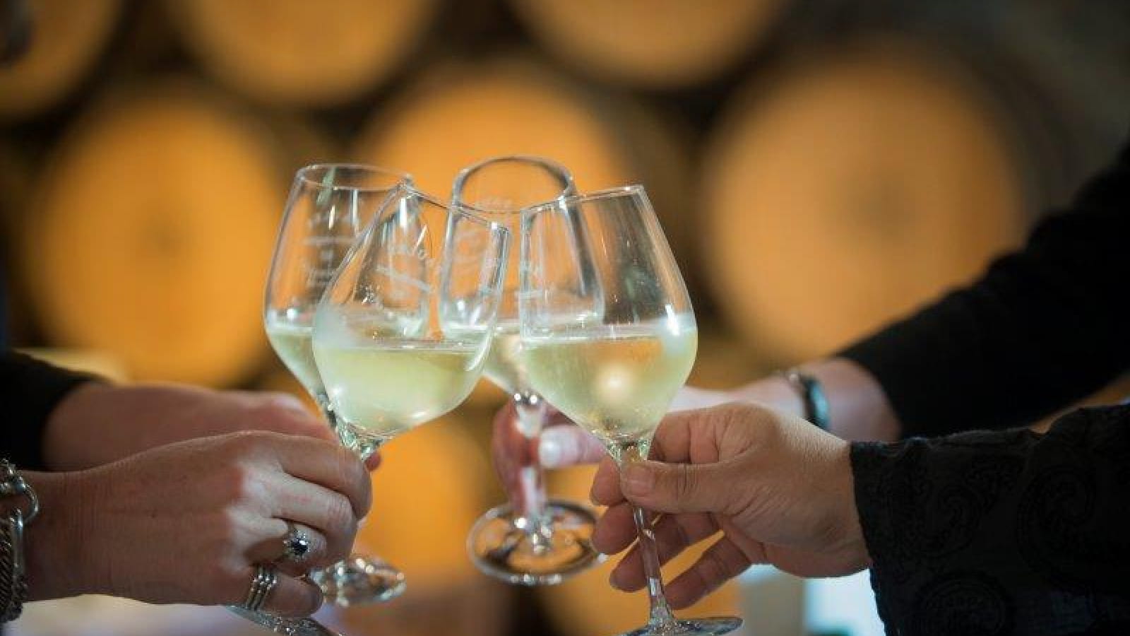 Beaune Tourisme : Visite Dégustation & Mâchon dans un domaine viticole 
