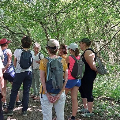 Balades naturalistes sur la nappe de Dijon Sud et de la Cent Fonts - Parcours 1 (Fénay-Saulon-la-Rue)